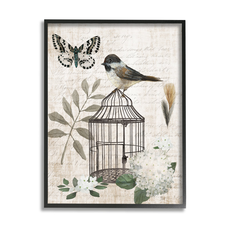 "Botanical Bird Cage" par Nan - Motif flottant sur toile, Giclée encadrée noir minuit, H 20 po x l 16 po x P 1,5 po