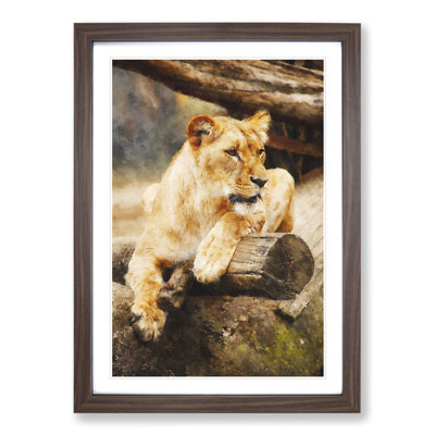 Lioness - Picture Frame Graphic Art