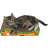Clausen Scratching Post