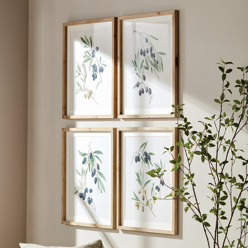 OLIVE STEMS STUDY
