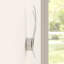 Evalyn Armed Sconce