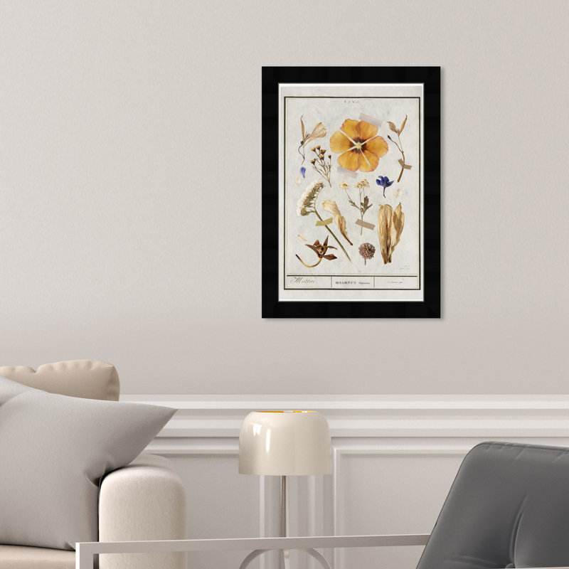 Botanical Collage by Oliver Gal, 17" H x 12" W, Black