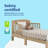 Benton Toddler Bed-116274056