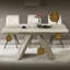 Tables de salle à manger extensibles (table seulement, sans chaises, complet avec plateau et pieds)
