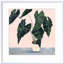 «Houseplant II» par Victoria Borges - peinture encadrée-2025857374-2120927757