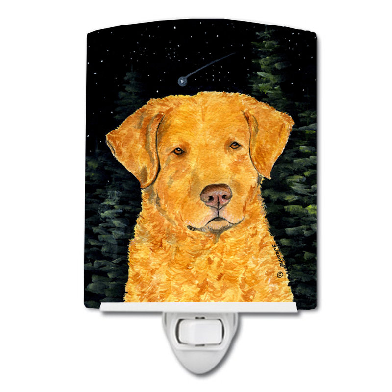 Éclairage pour nuit en céramique starry chesapeake bay retriever