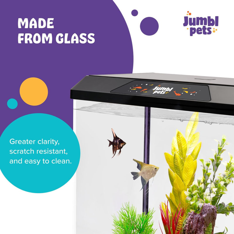 Derez Rectangle Aquarium Tank, 4 Gallon (11.8" H x 8.7"W x 12.6"D)
