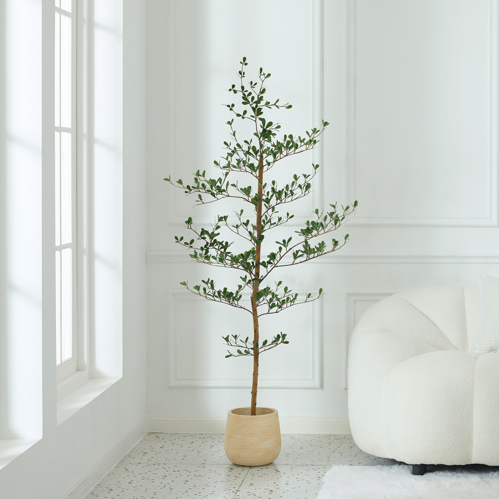 Adcock Olive Tree in Pot, 60" H x 20" W x 20" D