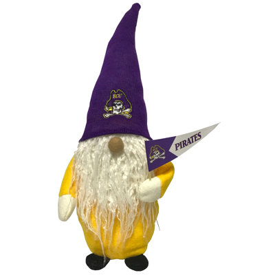 Gnome 16 "ECU