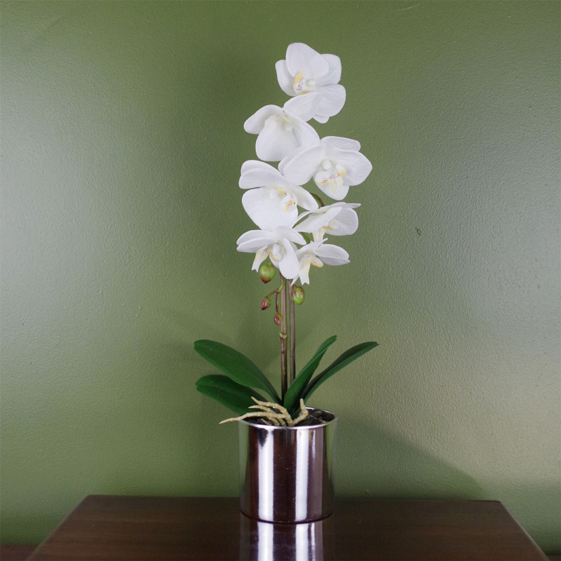 Artificial Arrangement in Pot, White
