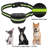 Dog Training Collar