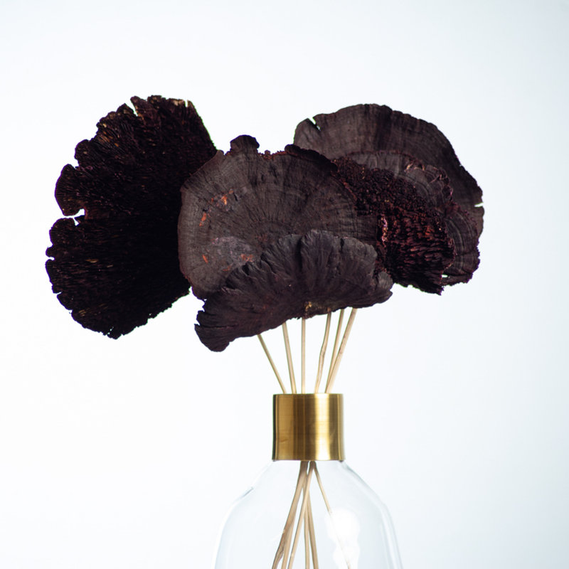 Champignon éponge naturel préservé dans un vase, Noir