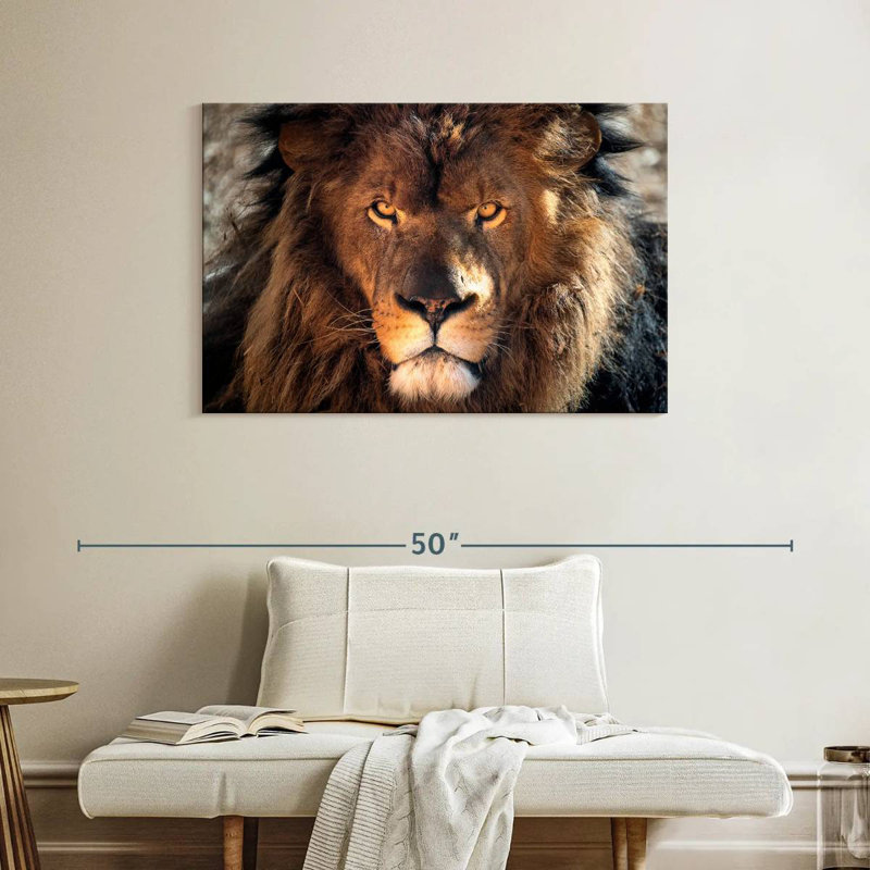 Tête de lion robuste, H 26 po x l 39 po