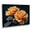 Monochromes roses noires et jaunes Bloom I - Roses, art mural-1802137407-1697203468