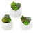 Gigee Ceramic Wall Planter-923211545