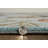 Valletta Blue Hand Tufted Area Rug-82837544