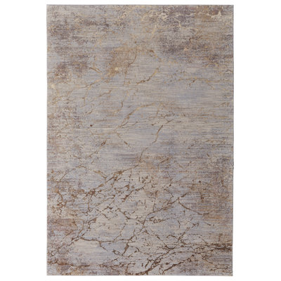 Rhun Abstract Indoor Rug