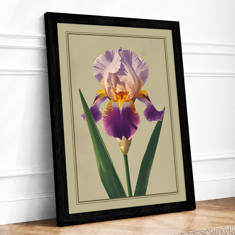 Bearded Iris Botanical - Framed Print, Black, A3 - 42.0 x 29.7 cm