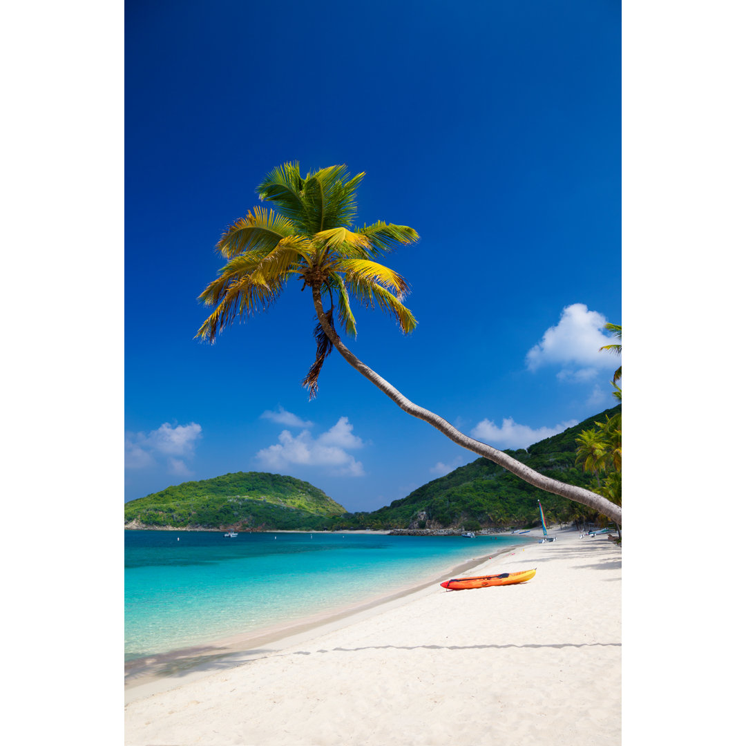 Palm Tree Overhanging Water von Cdwheatley - Leinwandbilder auf Leinwand