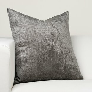 https://assets.wfcdn.com/im/17638923/resize-h310-w310%5Ecompr-r85/7865/78651775/nile-polyester-throw-pillow.jpg