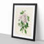 Illustration of Pink Azaleas - Picture Frame Painting Print-55579767-55579764