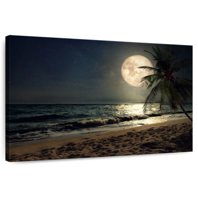 Alvord Supermoon sur une plage