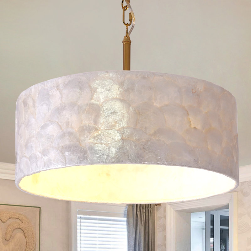 3-light Kitchen Pendant Light Shell Chandeliers For Dining Room