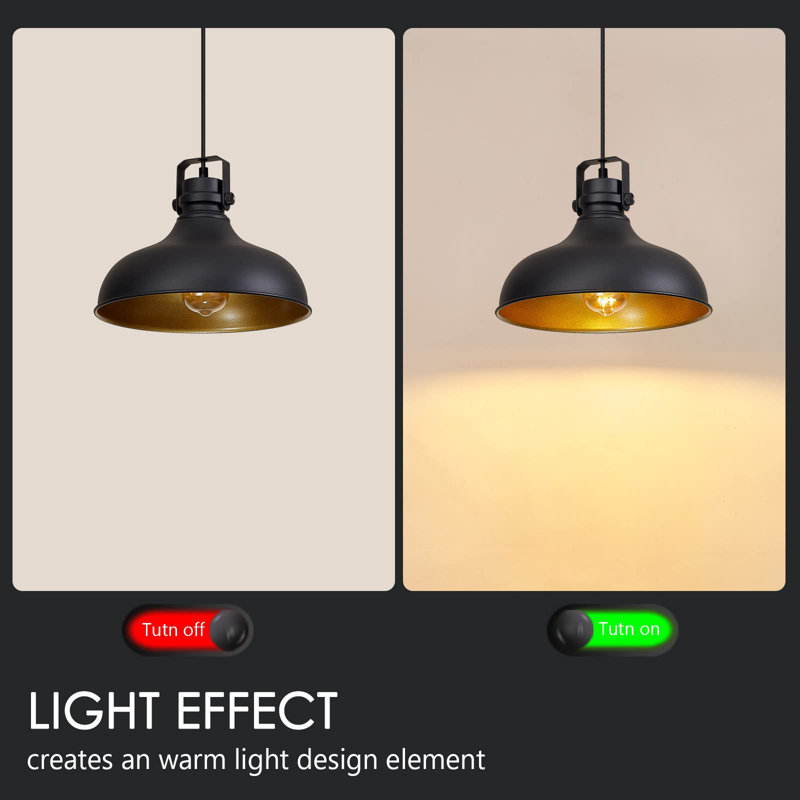Dashiell 3 - Light Single Pendant, Black