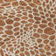 Tapis Colwart-109581536