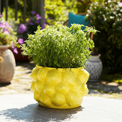 Textured Stoneware Ceramic Planter with Sculpted Bulbous Design and Integrated Drainage Hole for Indoor Outdoor Display