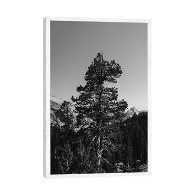 Olmsted Point, Yosemite National Park VI 1 Piece Wall Art on Canvas
