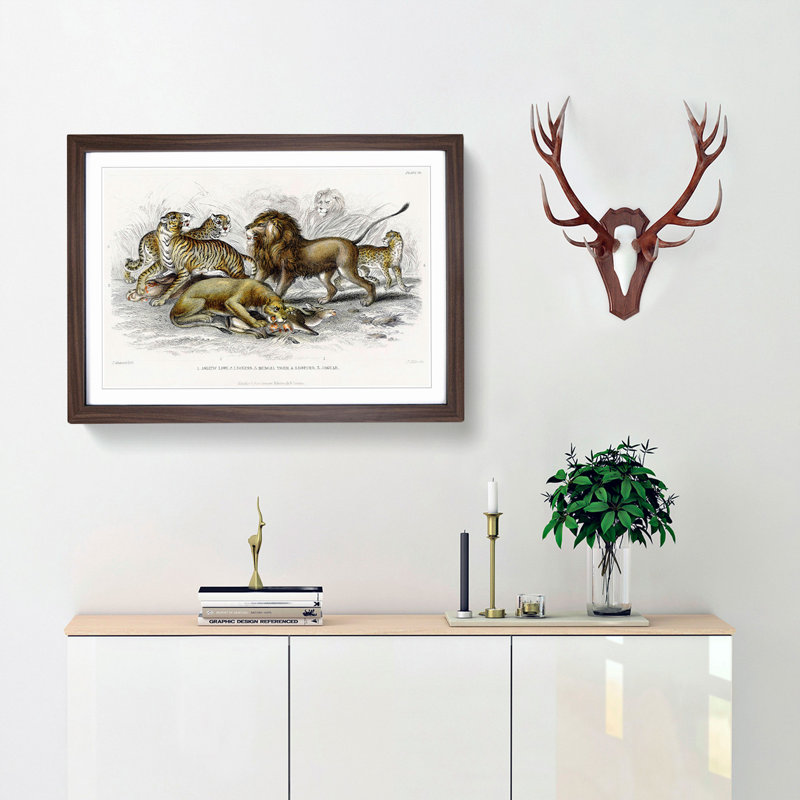 Lion, Tiger, Leopard and Jaguar by Oliver Goldsmith - Picture Frame Painting Print, Walnut Framed, 27cm H x 36cm W x 2cm D
