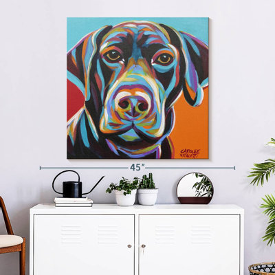 Brampt Dog Friend II