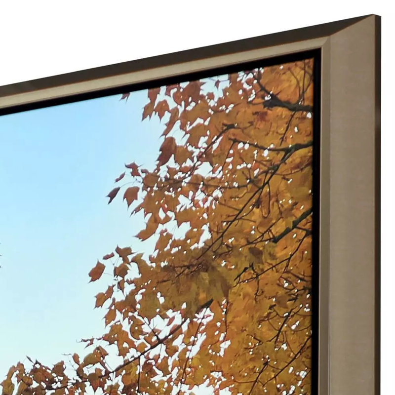 Hollandsworth Afternoon Stroll - Floater Frame Print