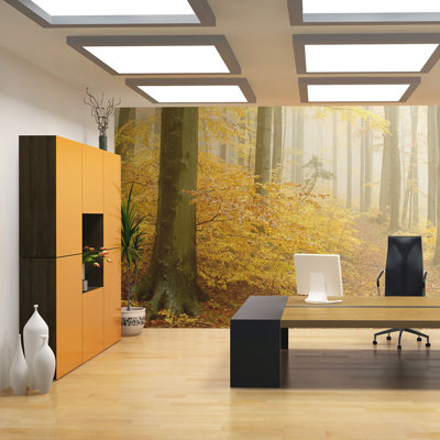 Autumn Wood 270cm x 350cm Wallpaper