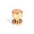 Polished Bronze