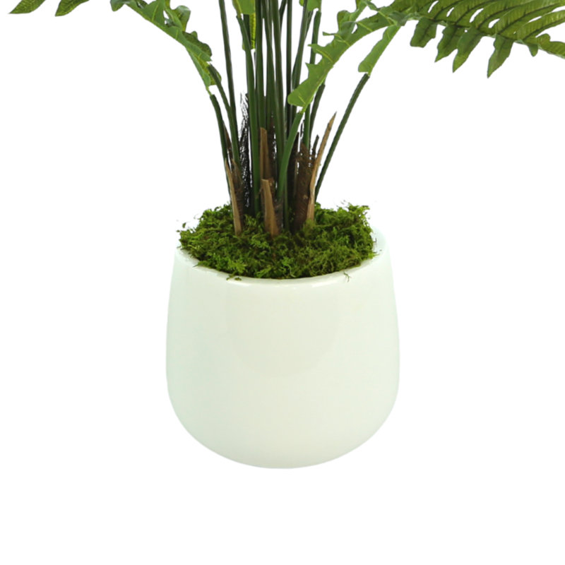 Ridgewood Faux Fern Plant in Fiberstone Planter