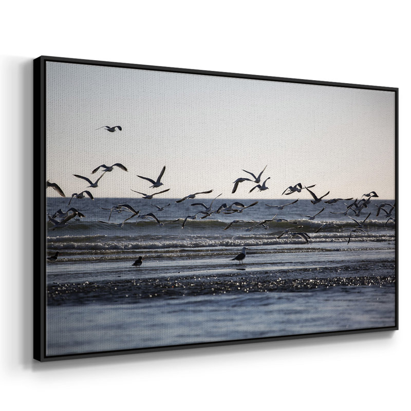 Vol de mouettes encadré sur toile, H 25 po x l 37 po x P 2 po, Noir