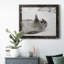 Laughing Seal - photographie encadrée sur toile-1929544613-1929544638