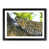 Black Framed