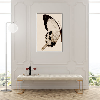 " Animals Sepia Butterfly I Insects "