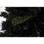 Christmas Tree Riccardo, Extra Thick Artificial Tree, Real PVC Effect Tree-1991002098
