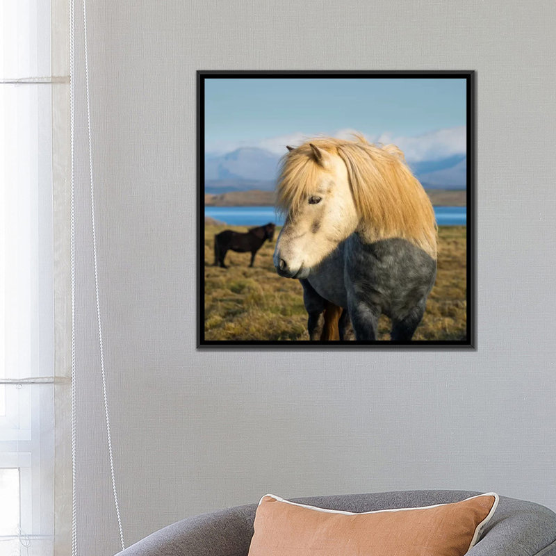 «When in Island», reproduction de photo sur toile, H 18 po x l 18 po x P 1,5 po, Toile avec cadre noir, Pas de tapis
