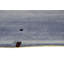 Bel Rectangle 140 cm x 200 cm Hand Woven Area Rug Set