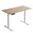 Fanchon 47.24'' Height Adjustable Standing Desk-588968917