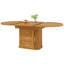 Extendable Dining Table-1177899013