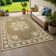 Junor Oriental Indoor / Outdoor Rug