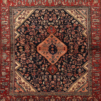Hackmore Oriental Indoor Rug