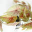 Foliage Plants 30cm Faux Plant in Planter