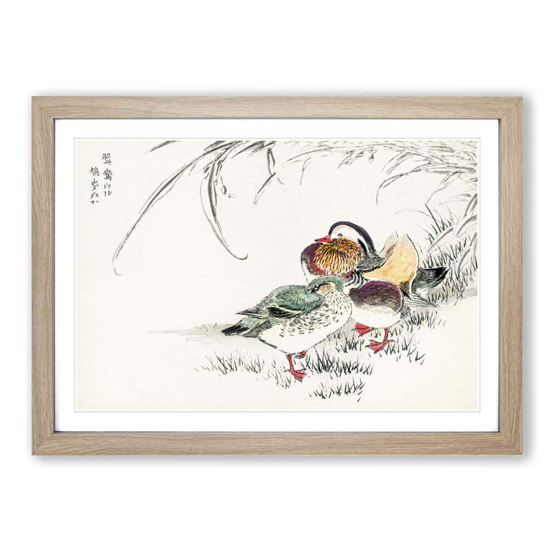 Mandarin Duck by Numata Kashu - Picture Frame Painting Print, Oak, 35cm H x 50cm W x 2cm D